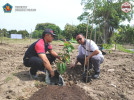 Camat Buleleng Ikut Serta Penanaman Pohon di Hutan Kota Banyuas