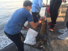 Resik Sampah Sekitaran Pantai Penimbangan