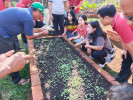 Sekcam Buleleng Bersama Staf Menghadiri Edukasi Pengelolaan Sampah Organik dan Pemanfaatan Lahan Kurang Produktif